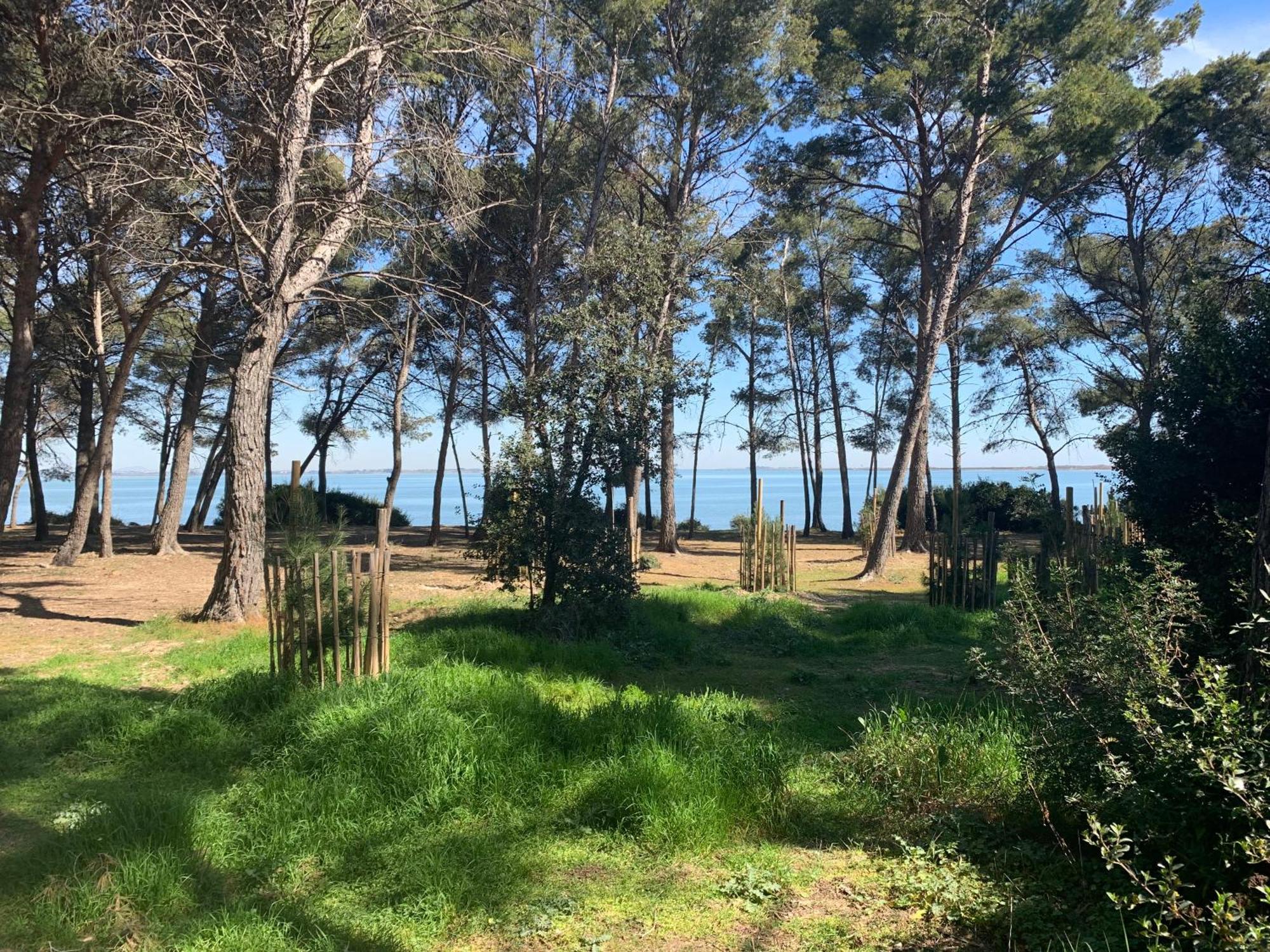 Maison De Plage Frontignan Exterior foto